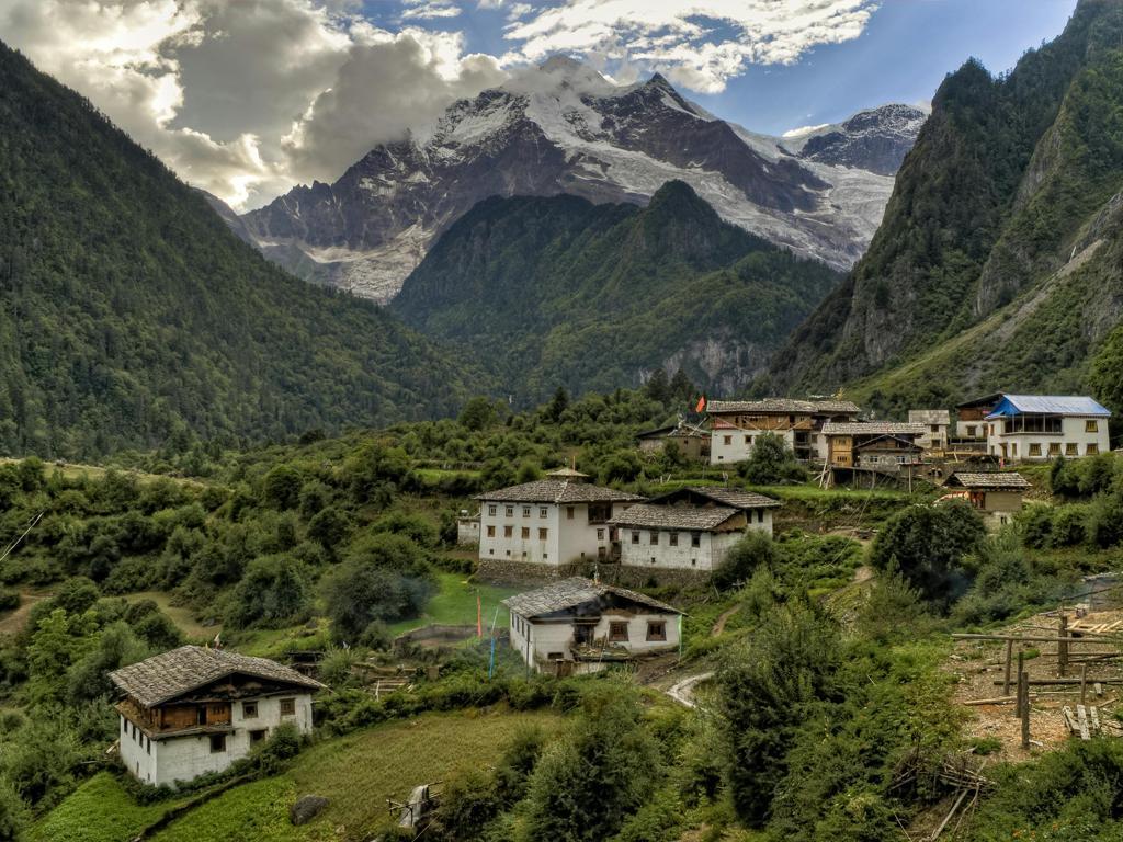 bolger image