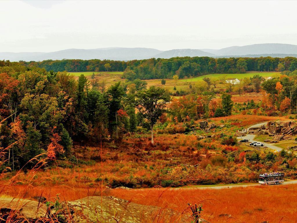 Side Banner Image 4