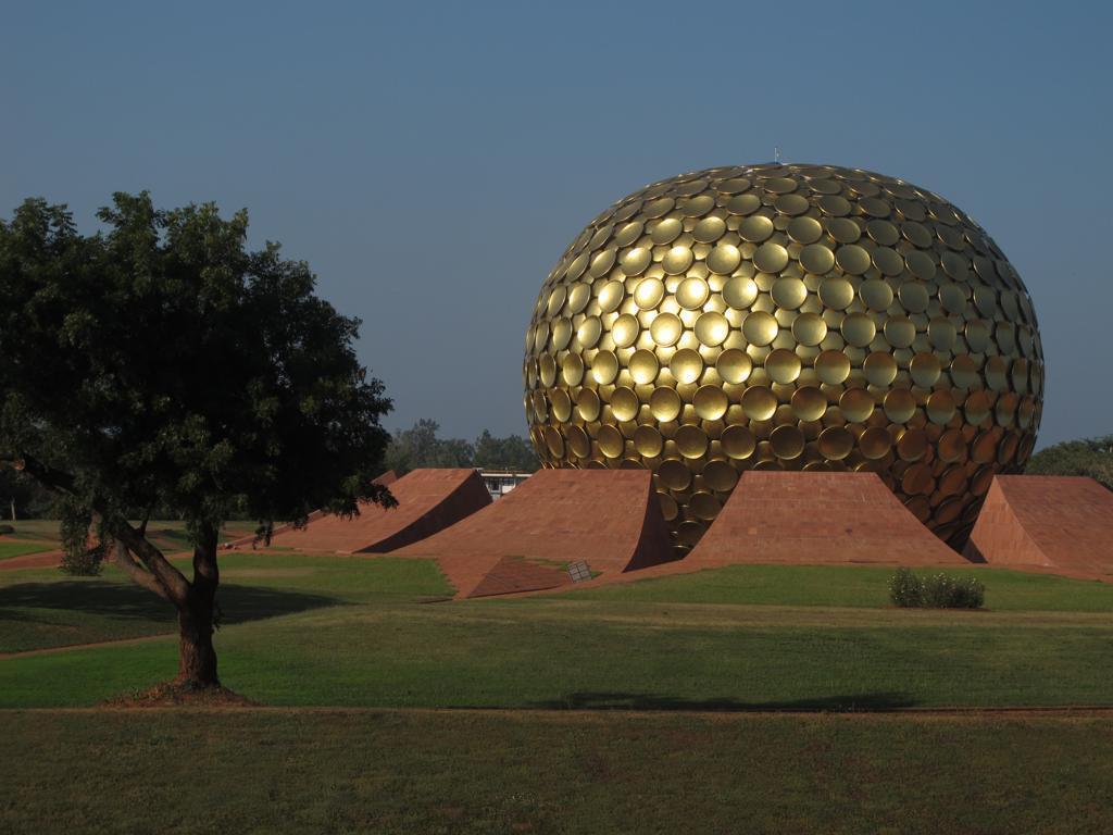 bolger image